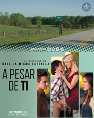 🎬A pesar de ti / Regretting You