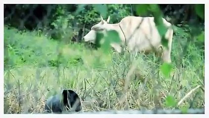 Emergency Preparedness for People with Disabilities: Essential Tips & Resources 🚨