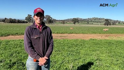 Lamb trial gives Cowra students real insight into farming