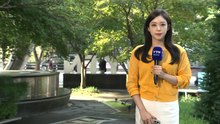 [날씨] '가을 기운 가득' 아침 선선·낮 더위...내일까지 대조기 / YTN