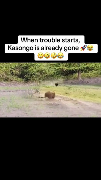 Kasongo speed
