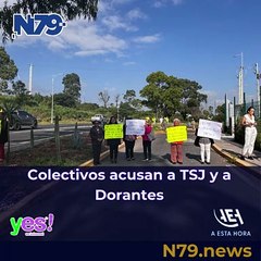 Colectivos acusan a TSJ y a Dorantes