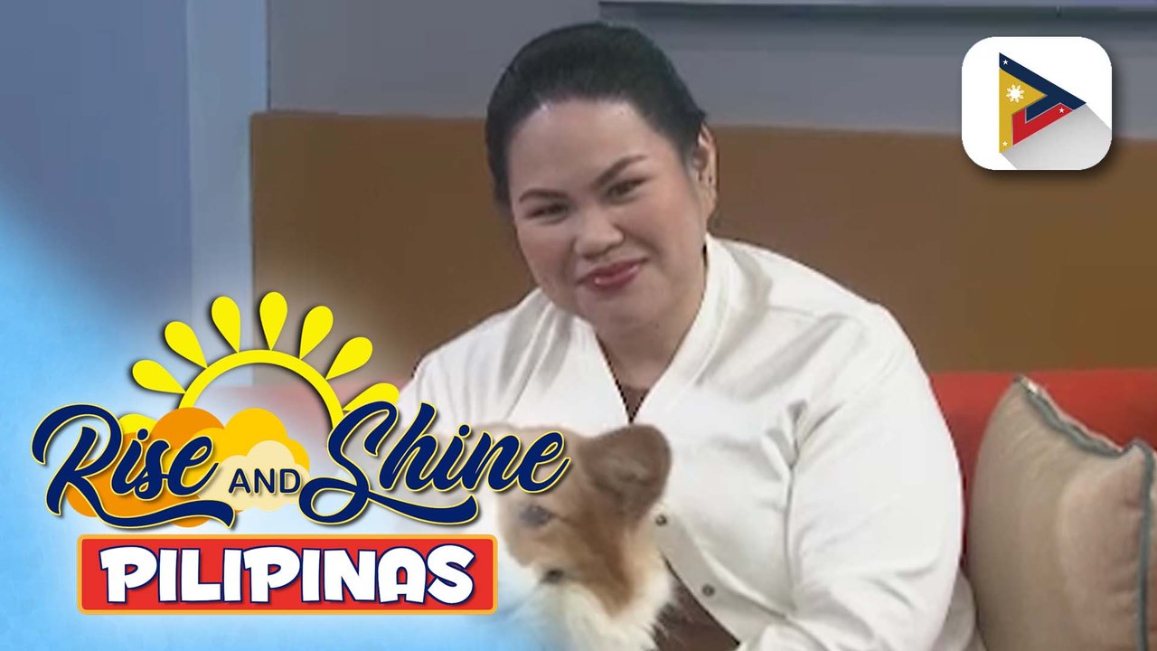 Wednesday Pet's Day | Muick & Sadie the corgi