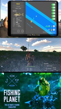 How to catch Trophy Thick Mullet at Ghent Terneuzen Canal | Fishing Planet