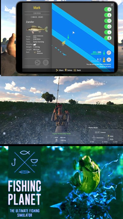 How to catch Trophy Thick Mullet at Ghent Terneuzen Canal | Fishing Planet