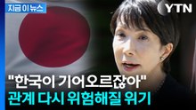 "일본이 제대로 안 하니 한국이 기어올라" 막말 여성...새로운 변수 [지금이뉴스] / YTN
