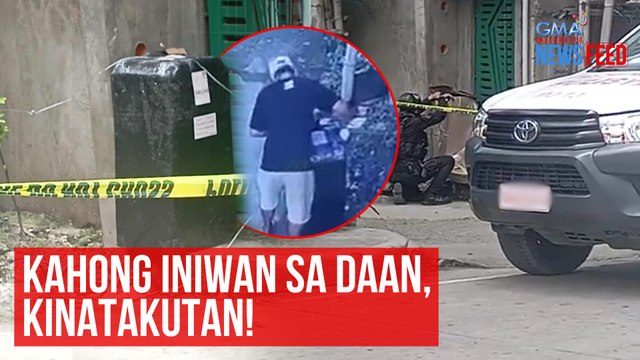 Kahong iniwan sa daan, kinatakutan! | GMA Integrated Newsfeed