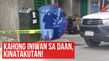 Kahong iniwan sa daan, kinatakutan! | GMA Integrated Newsfeed
