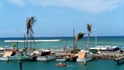 The Endless Summer (1966) 🌊: The Classic Surf Documentary That Inspired a Generation