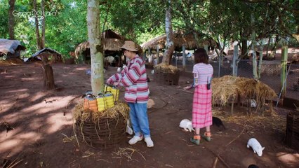 Lost In The Woods cap 2