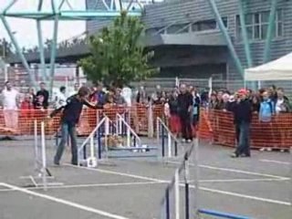 JUMPING GPF ANDELNANS2008