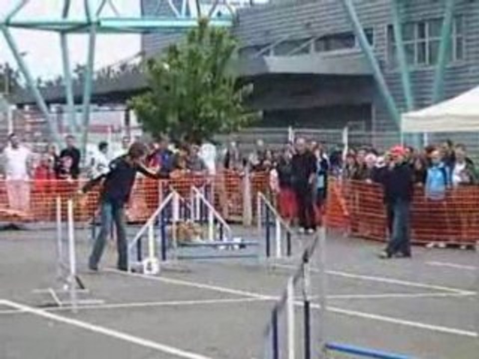 JUMPING GPF ANDELNANS2008