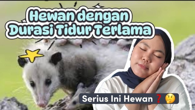 5 Hewan dengan Durasi Tidur Terlama, Ada yang Hampir 22 Jam Sehari-Serius Ini Hewan?