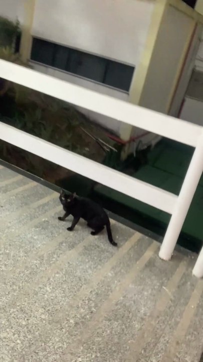 ja finalizando na universidade Ceuma