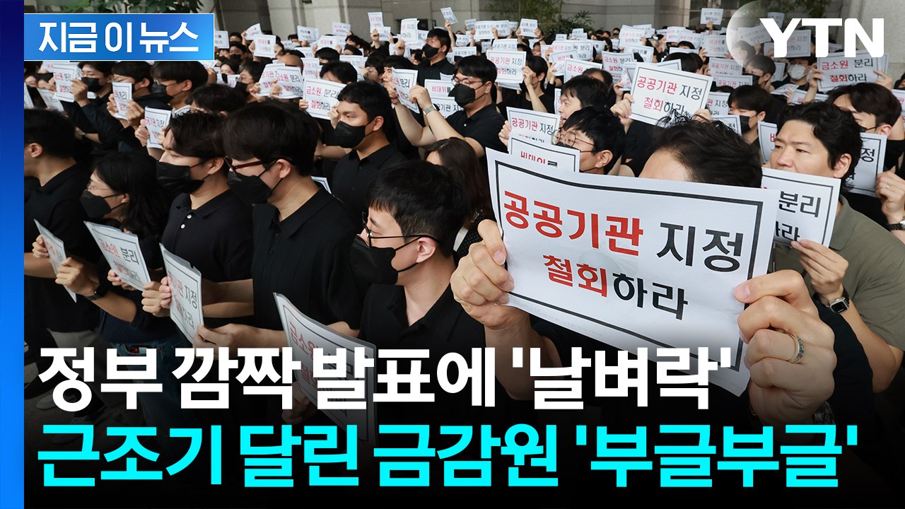 금감원 '엑소더스' 시작되나...정부 발표 후폭풍에 사상 첫 파업 예고 [지금이뉴스]...