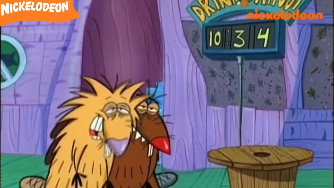 Les Castors Allumés - On va rester debout toute la nuit