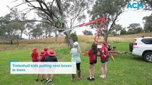 Tintenhull Public School students install 'homes' for wildlife.