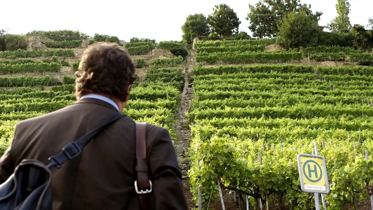 螳螂鬥雞公 | show | 1978 | Official Trailer