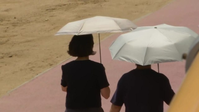 [날씨] 내일까지 30℃ 안팎 늦더위...주말 전국 비, 강릉도 단비 / YTN