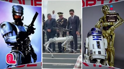 La tecnología se apodera de los animales en Zacatecas