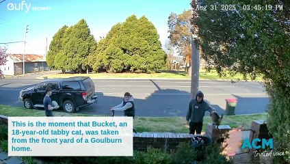 Footage of Bucket being taken from a Bourke Street front yard.