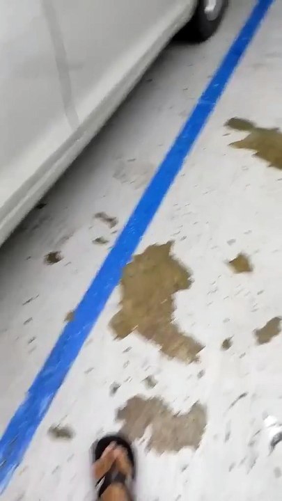 Palit Gulong at Mags