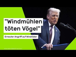 "Windmühlen töten Vögel" - erneuter Angriff auf Windräder