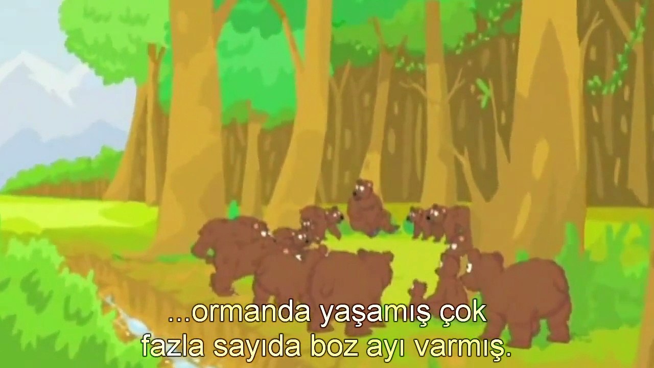 Boz ayılar neden kutup ayılarına evrildi