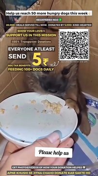 Every 5 Counts! Your small amount help can make a big help for the stray dogs out there & provide them Good Food & Good Shelter, It's our duty. So you too be a part of this mission, Donate a Little Amount For Them Support us