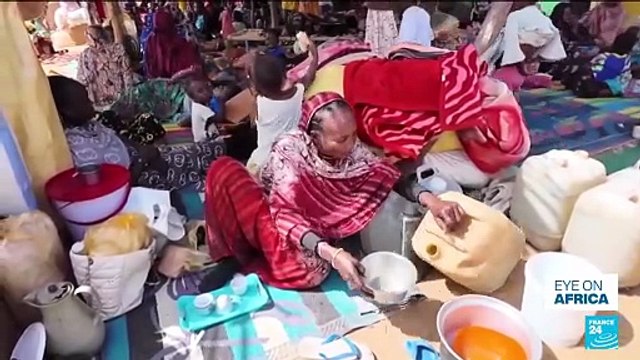 'Surviving on animal feed': Escaping residents describe siege of Sudan's al-Fashir