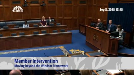 Ferguson brands Brexit a ‘child of the DUP’ and says Windsor Framework protects against its ‘worse excesses’