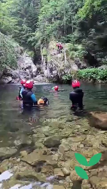 Pensée positive : le pouvoir des mots pour changer votre vie !