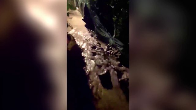 Esondato torrente a Blevio, nel Comasco. La furia delle acque ripresa in un video