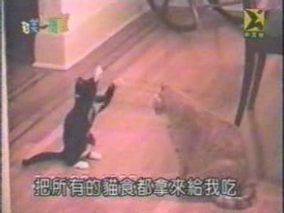 Why sumo is better than karate