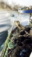 Modern fishing technologies