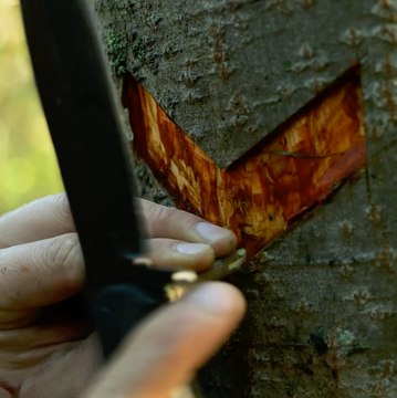 Survivre et s'épanouir en plein air grâce à ces géniaux conseils de camping 🌲🛠️