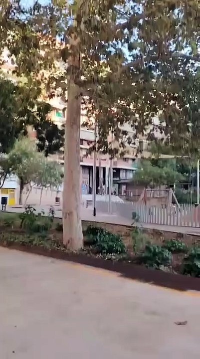 Un hombre que canta y agrede en la Zona Franca