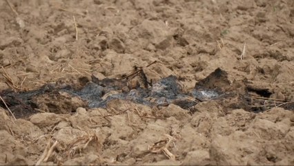 Polonia encuentra los restos de los drones rusos y advierte: "Es una provocación a gran escala"