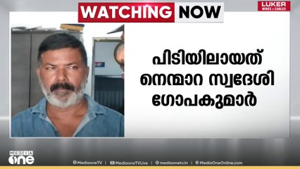 അയൽ സംസ്ഥാനങ്ങളിൽ നിന്നും കഞ്ചാവെത്തിച്ച് മൊത്ത വില്പന: നെന്മാറ സ്വദേശി പിടിയിൽ
