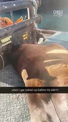 Is this not the cutest sleeping seal you’ve ever seen?! He is all of us when we’re taking a