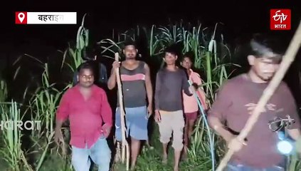 बहराइच में 5 साल की बच्ची को उठा ले गया जंगली जानवर; घर से 500 मीटर दूर खेत में मिला शव, गांव में पहुंची टीम