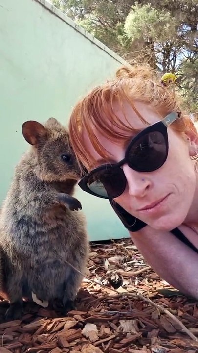Welcome to Australia 🇦🇺