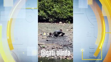 Tentativa de Fuga em Olinda: Suspeitos Rastejam por Mangue e São Capturados pela PM