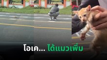 ขับรถอยู่ดี ๆ ก็ได้แมวเพิ่ม