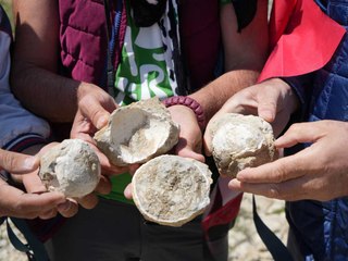 Ilgaz Dağı'nın tepesinde bulundu: Bir zamanlar denizmiş