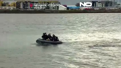 Britischer Schwimmer Ross Edgley schwimmt als Erster um Island