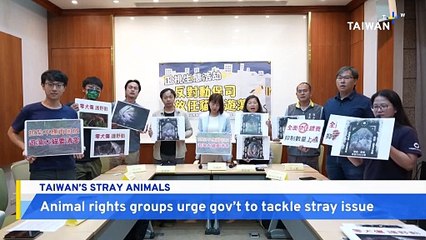 Animal Rights Groups Call for Stronger Management of Stray Dogs