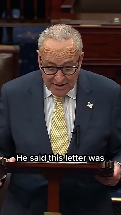 Schumer on Trump_ _Shame on you for lying about Epstein full news on my account