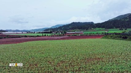 Migrantes Episodio 1 | España