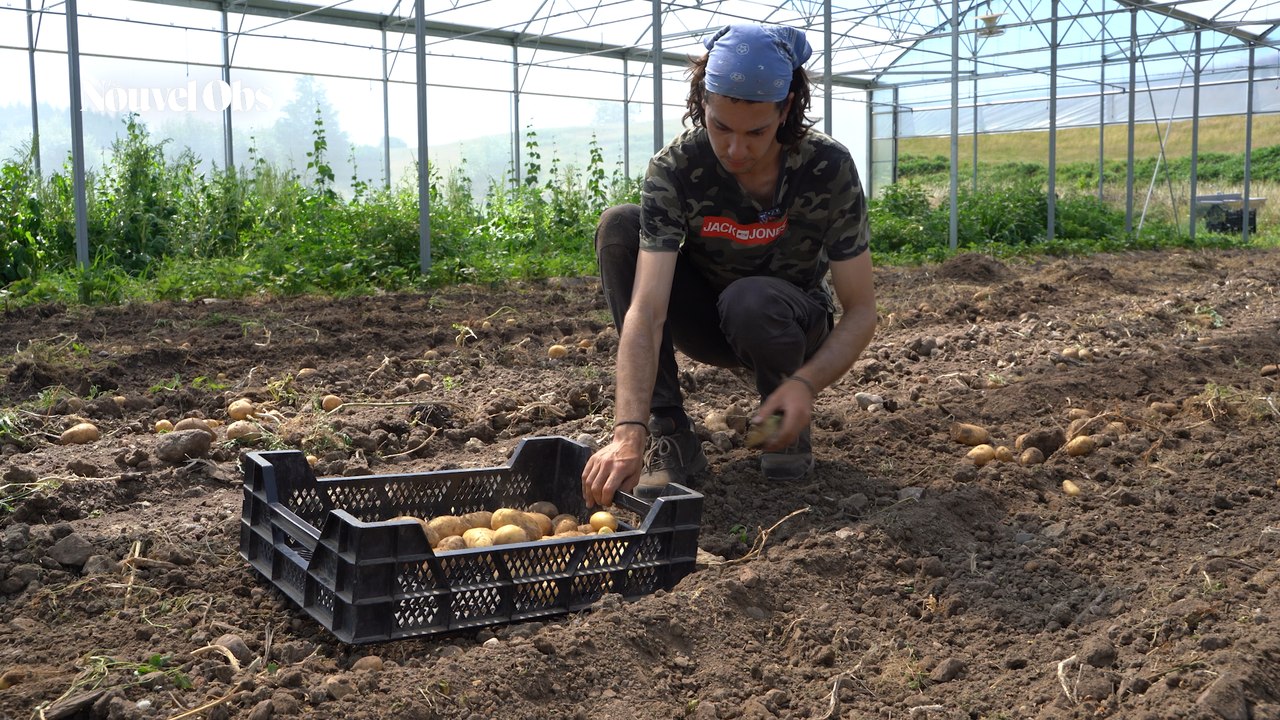 Cette ferme municipale fournit aux écoles et aux maisons de retraite des fruits et légumes 100 % bio